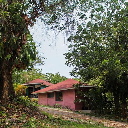Winika Alterra Villa Palenque Eksteriør billede
