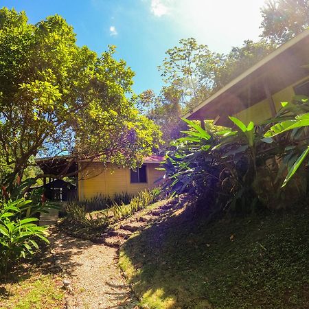 Winika Alterra Villa Palenque Eksteriør billede