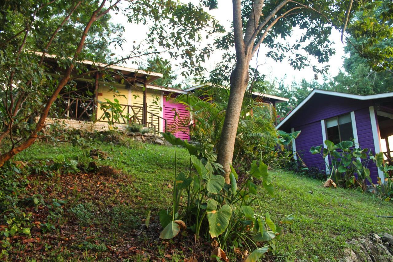 Winika Alterra Villa Palenque Eksteriør billede