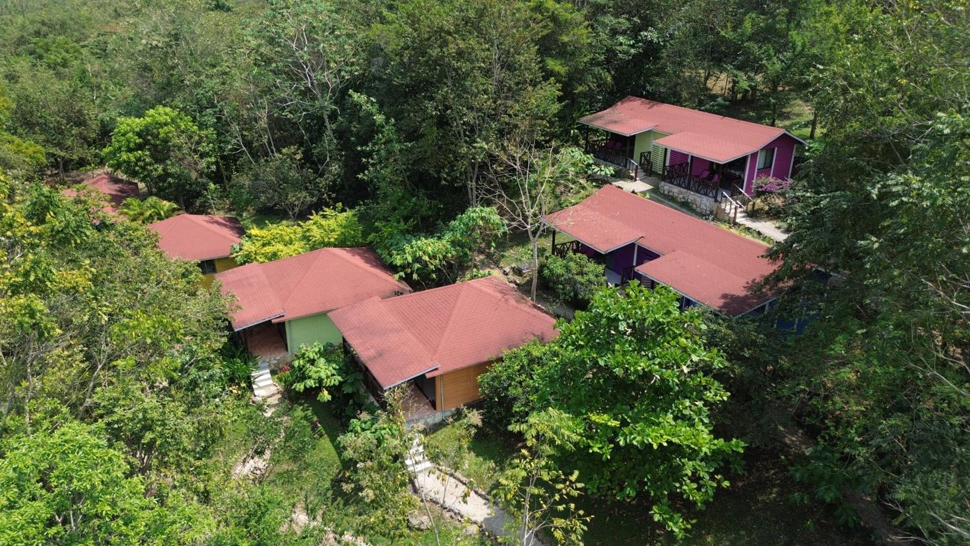 Winika Alterra Villa Palenque Eksteriør billede