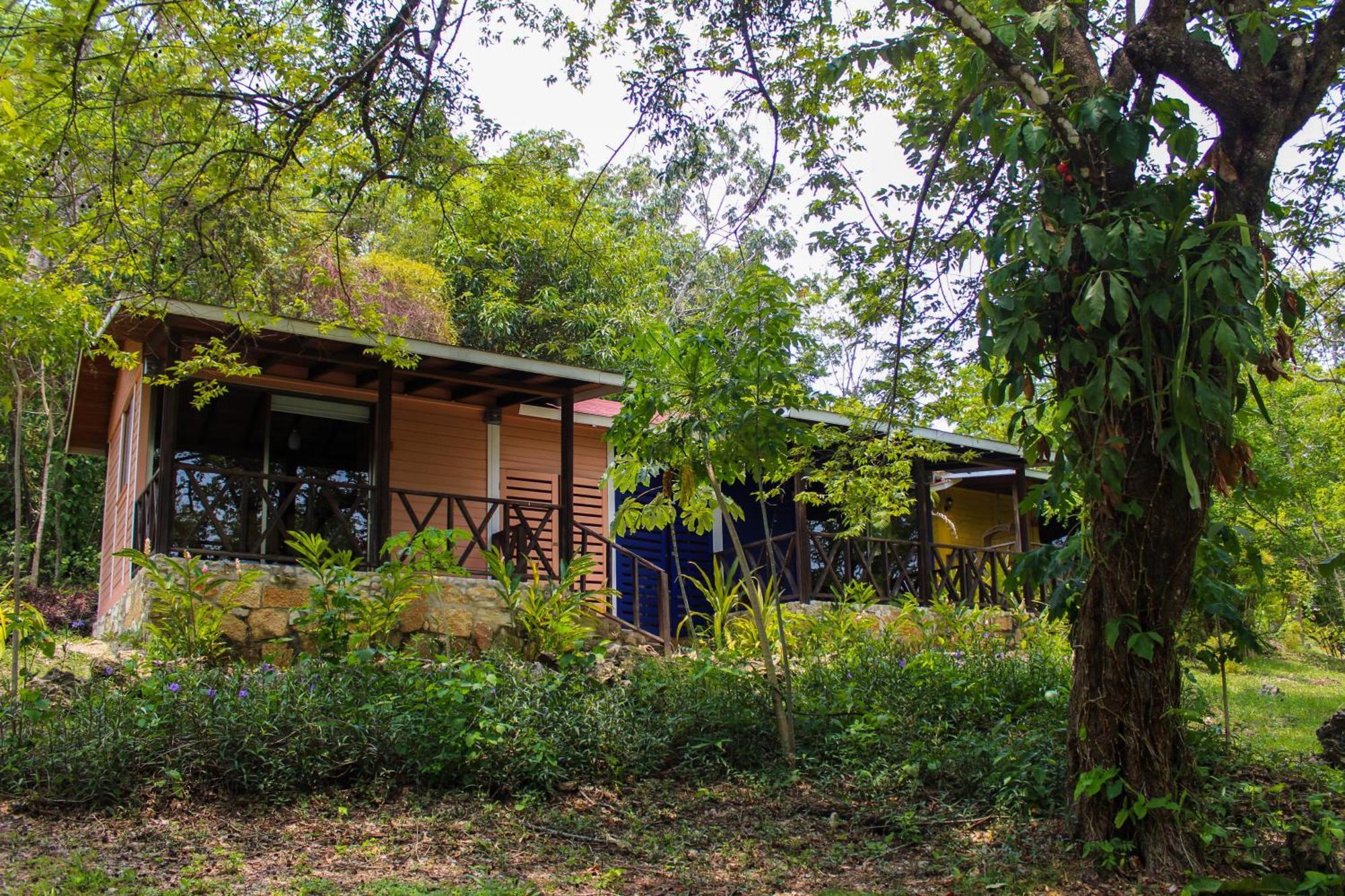 Winika Alterra Villa Palenque Eksteriør billede