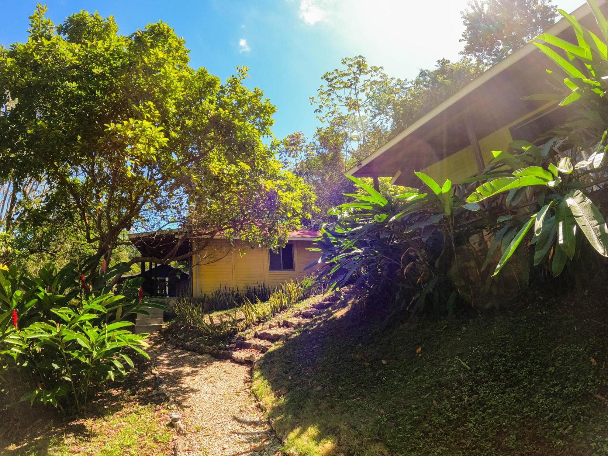 Winika Alterra Villa Palenque Eksteriør billede