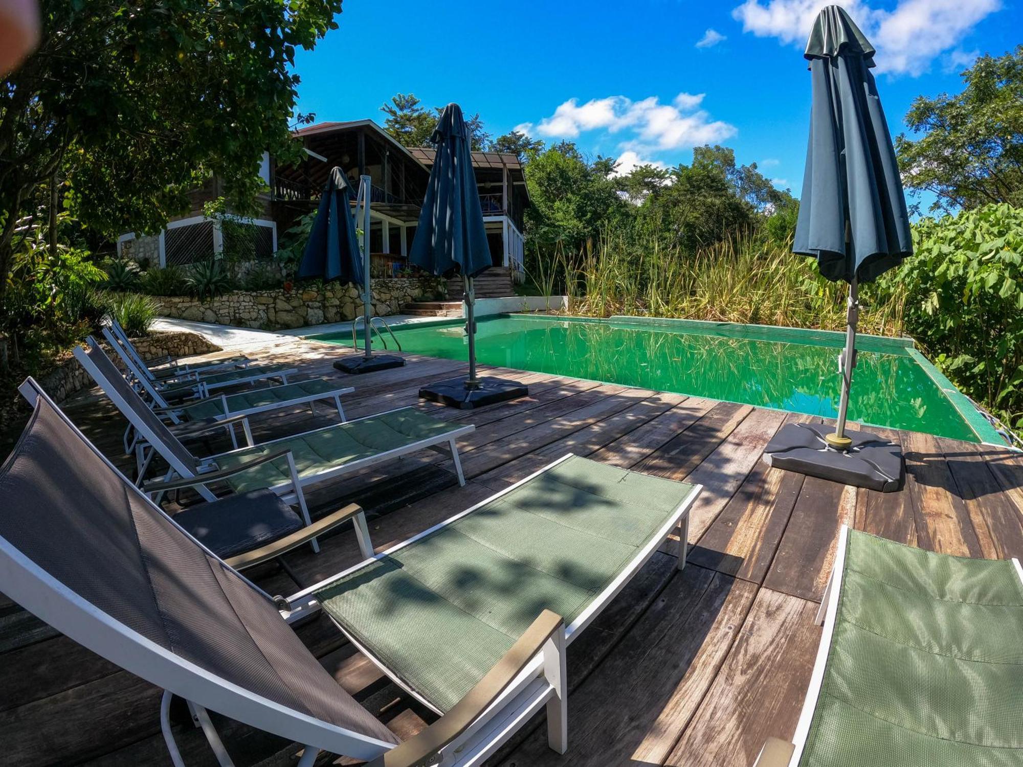 Winika Alterra Villa Palenque Eksteriør billede
